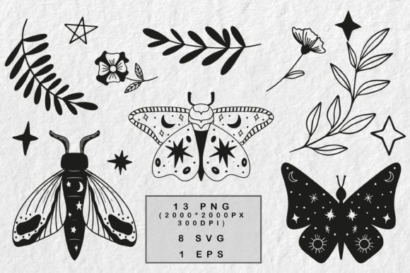 Moth and Butterfly SVG PNG EPS Graphics for Illustrations