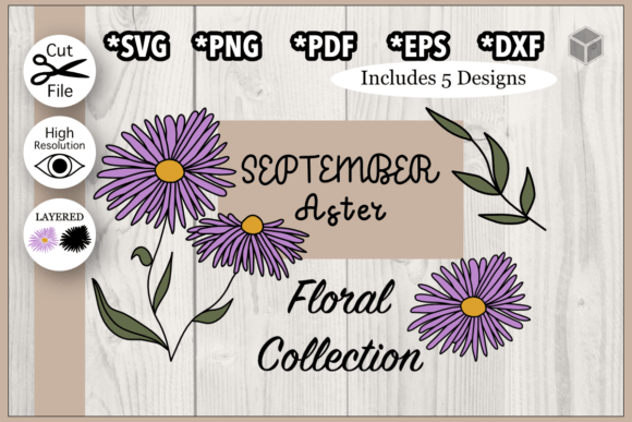 September Aster Flower Illustration Set Review
